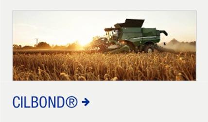cilbond